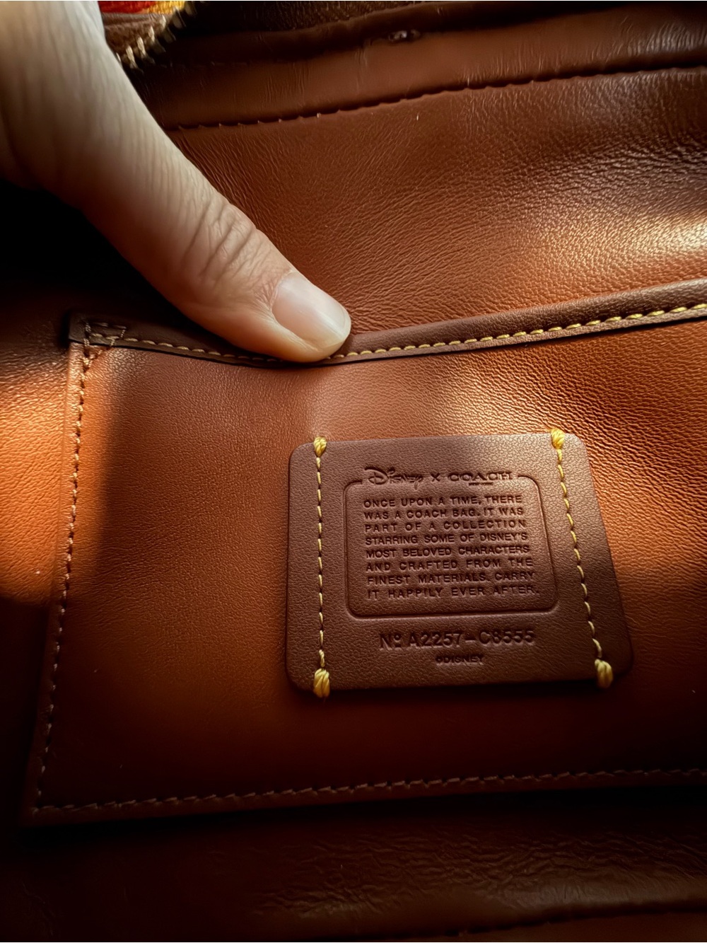Disney x Coach Signature Jacquard Camera Bag - Picture 9 of 12